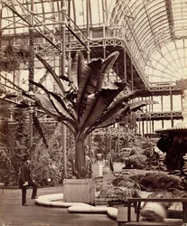 Plantes tropicales dans la salle égyptienne, Crystal Palace, Sydenham, 1854